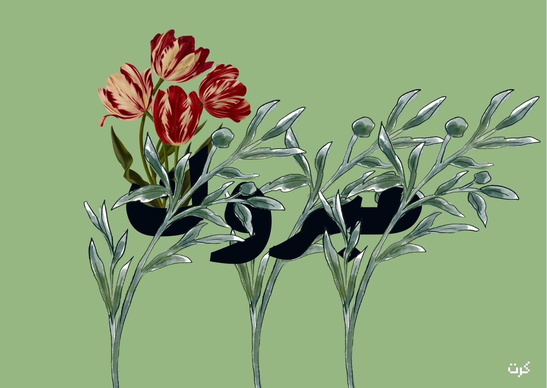 مبروك