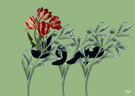 مبروك