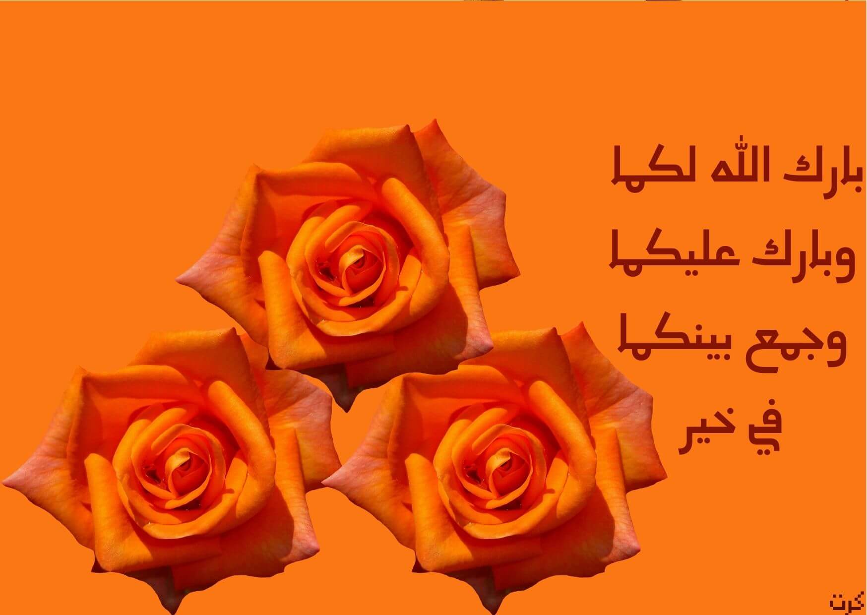 بارك الله لكما وبارك عليكما وجمع بينكما في خير